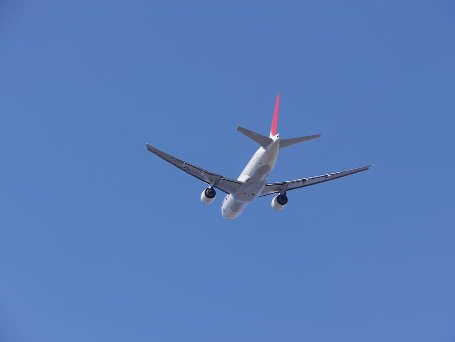 Sky, Blue, Airplane, flying, transportation, clear sky, air vehicle HD wallpaper