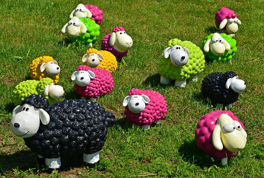 HD wallpaper: sheep, black sheep, funny, colorful, decoration, garden  decoration | Wallpaper Flare