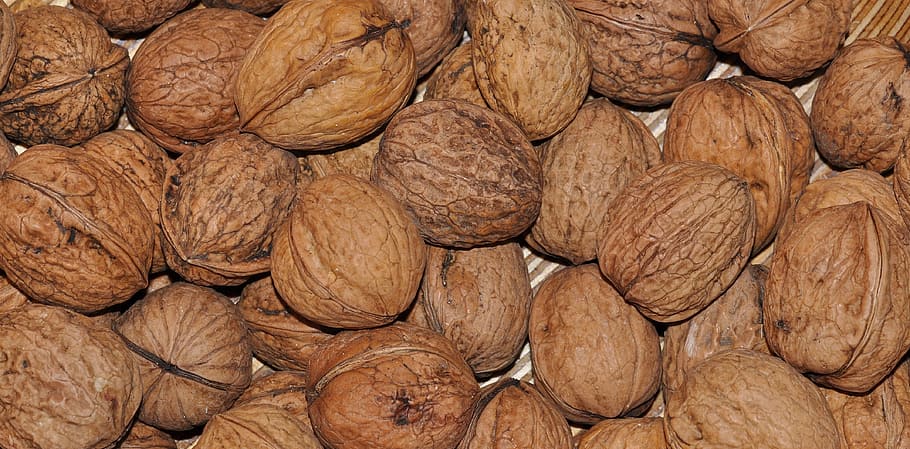 walnut, nuts, healthy, vitamins, advent, nutrition, full frame HD wallpaper