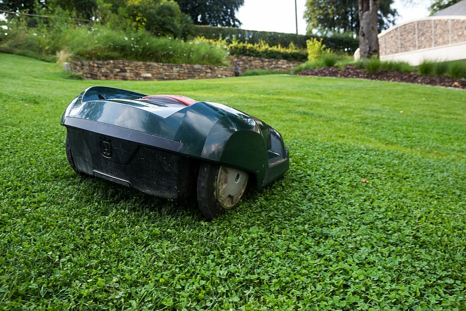black robot mower on grass, lawn mower, automatically, estate HD wallpaper