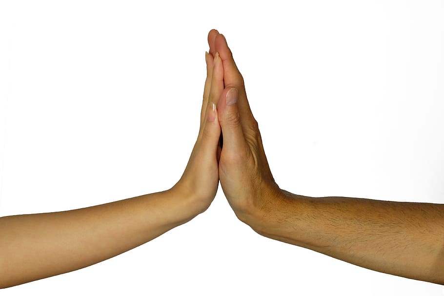 hands, contact, affection, connectedness, tender, tenderness HD wallpaper