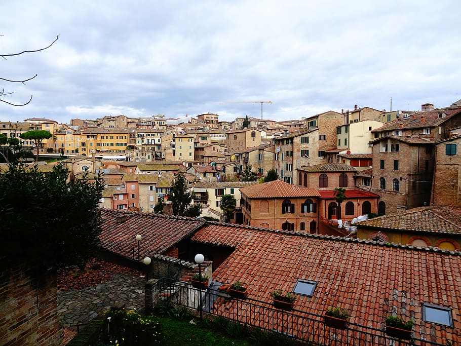 siena, roofs, old, old building, ceilings, texas, casa vieja HD wallpaper