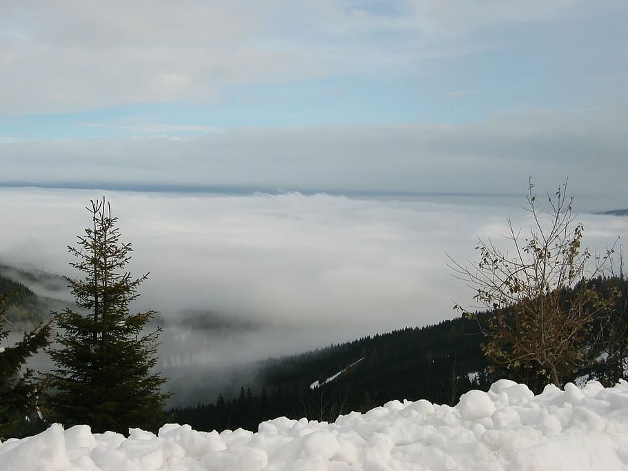 selva marine, snow, foresight, nature, winter, mountain, forest HD wallpaper