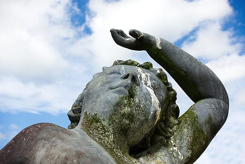 gray statue, misfortune, bad, luck, karma, bird, dropping, unlucky HD wallpaper