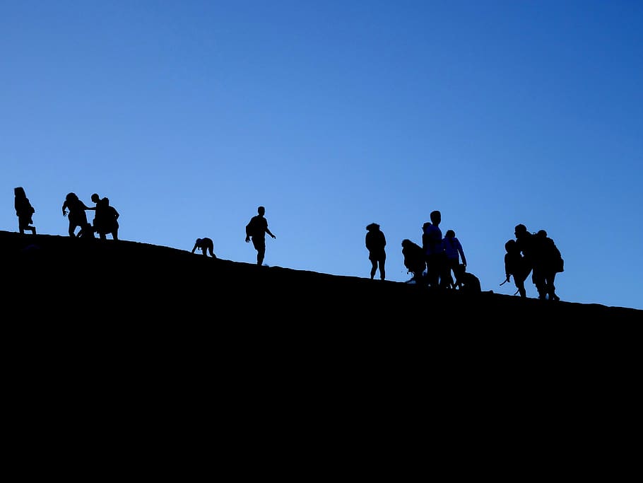 silhouette, shadow, group, human, figures, sky, movement, blue HD wallpaper
