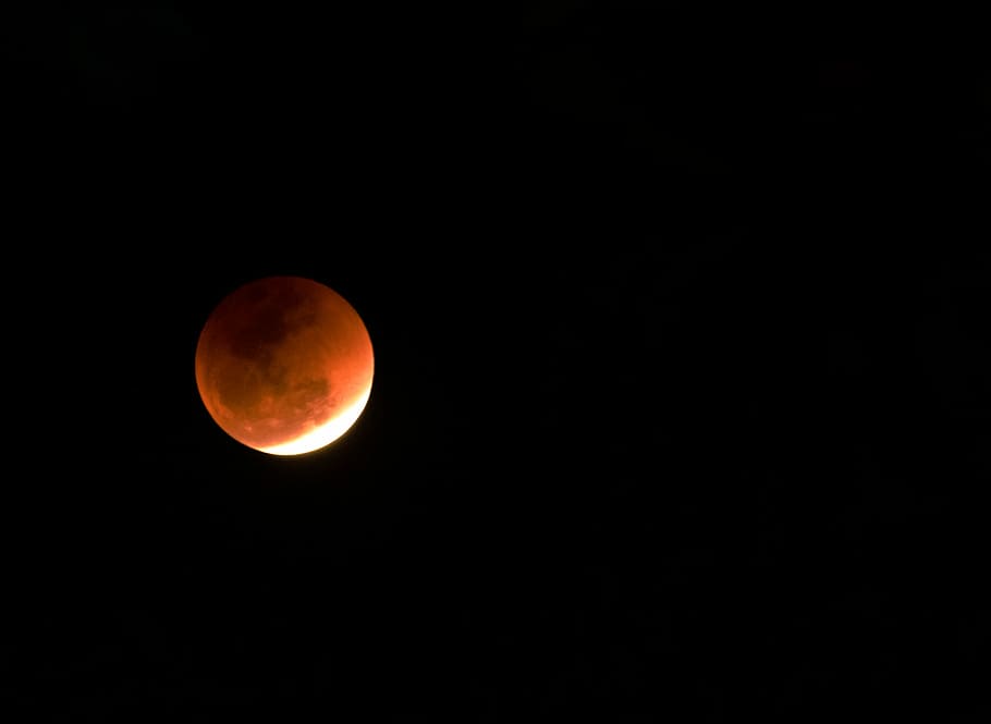 photo of blood moon during night time, low angle of lunar eclipse HD wallpaper