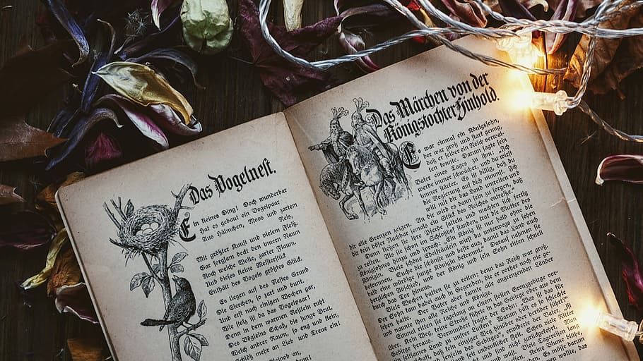 book open surrounded by lights and leaves, open book body with string lights HD wallpaper