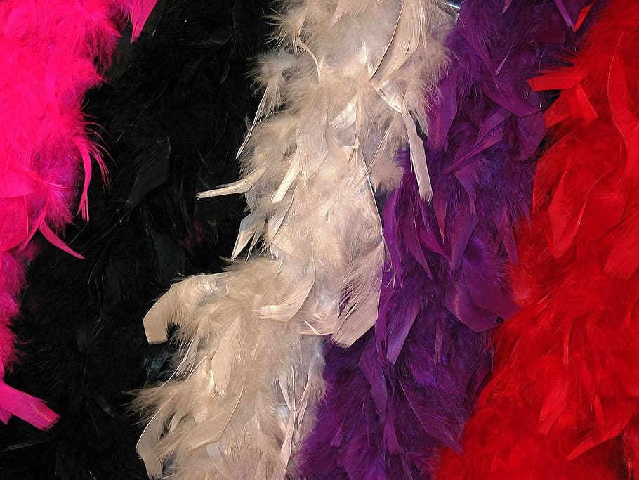 Stoles, Carnival, Feather, Shawl, carnival stoles, feather shawl, HD wallpaper