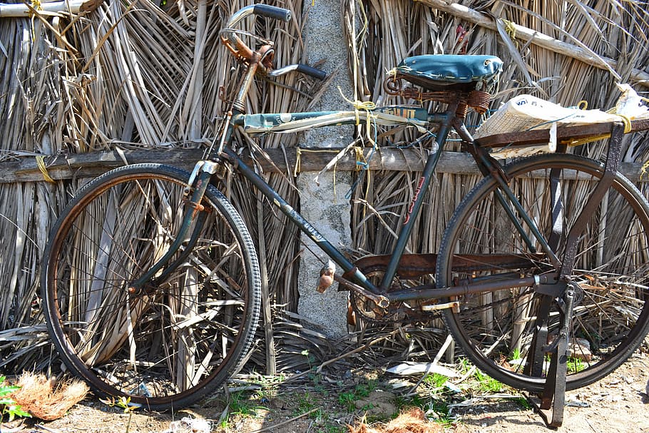 india, cycle, rust, bicycle, transportation, mode of transportation HD wallpaper