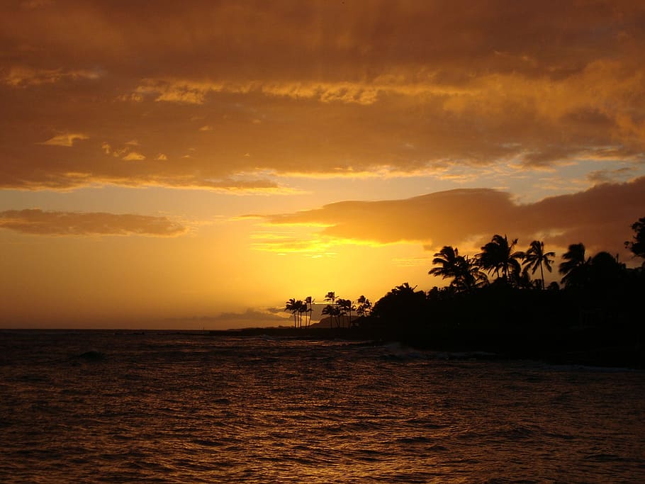 silhouette photography of island, sunset, sunrise, dawn, dusk HD wallpaper