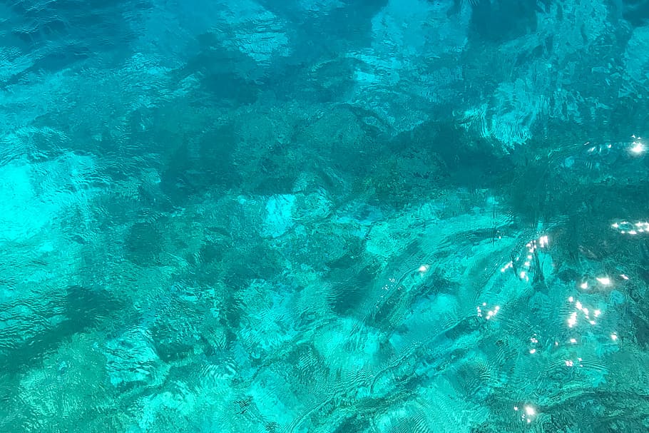 coral reef under the sea, blue, backgrounds, abstract, nature HD wallpaper