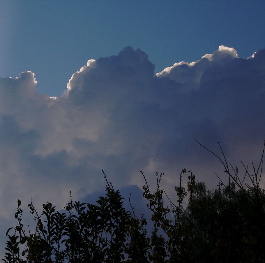 clouds, massed, puffy, large, blue shadows, white edge, highlighted HD wallpaper