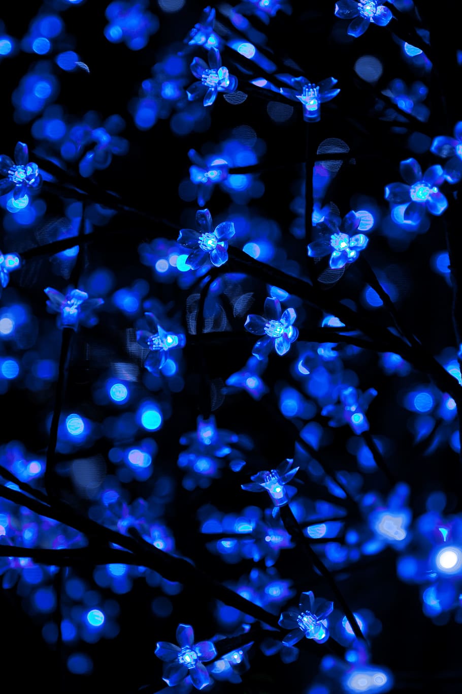 lighted blue string lights, Blue LED, LED light, plant, decor, HD wallpaper