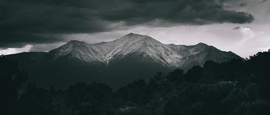 silhouette of trees near mountains, black, white, photo, landscape HD wallpaper