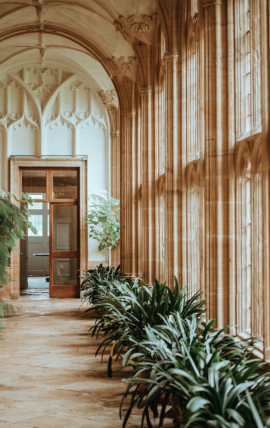 Forde Abbey, green leafed plant on side of window, arch, door HD wallpaper