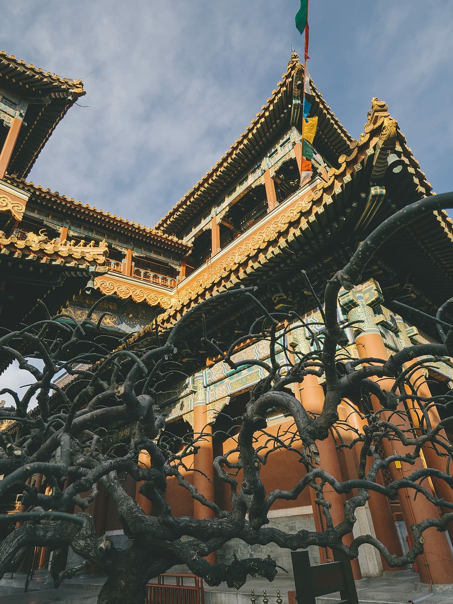 photo of Forbidden City, China, brown temple, built structure HD wallpaper