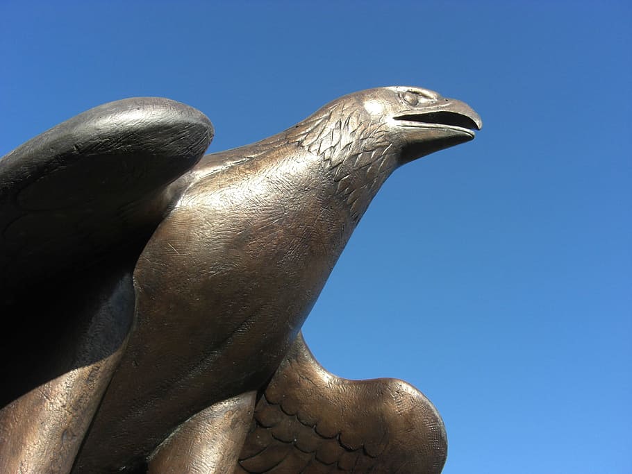 Adler, Bronze, Statue, Raptor, heraldic animal, monument, symbol HD wallpaper