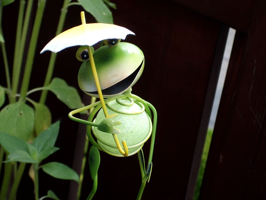 frog, screen, laugh, green, friendly, metal, plant, decoration HD wallpaper