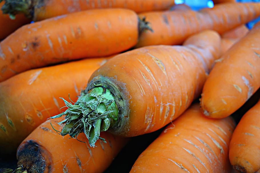 carrot, vegetable, daucus carota, root vegetable, fresh, food, HD wallpaper