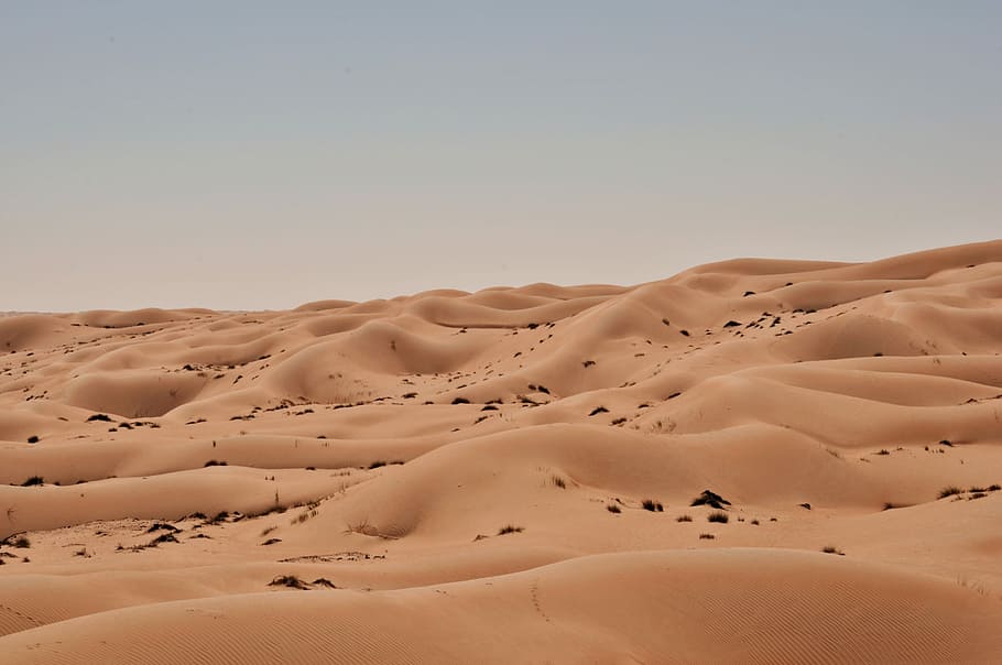 landscape shot of desert, photo of desert, beach, dune, ripples HD wallpaper