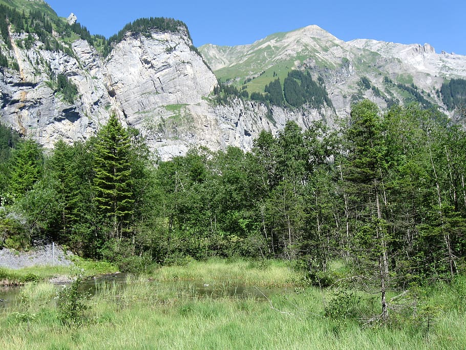 mountain, alps, landscape, plant, tree, beauty in nature, scenics - nature HD wallpaper