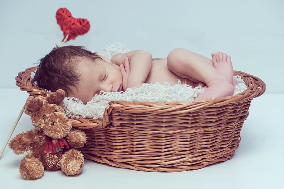 baby sleeping inside wicker bassinet beside moose plush toy, newburn