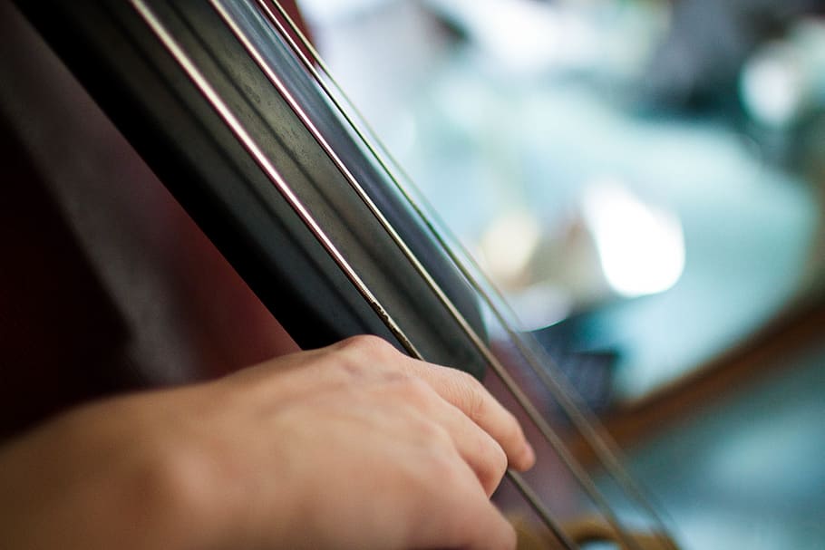 closeup photography of person playing string instrument, cello HD wallpaper