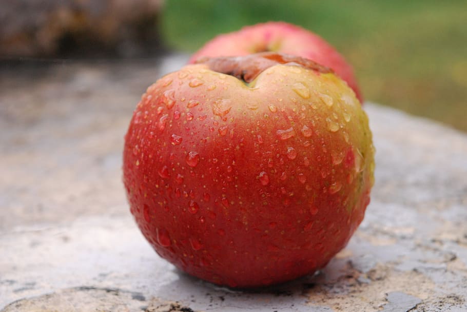 apple, picture, fruit, food and drink, healthy eating, red HD wallpaper