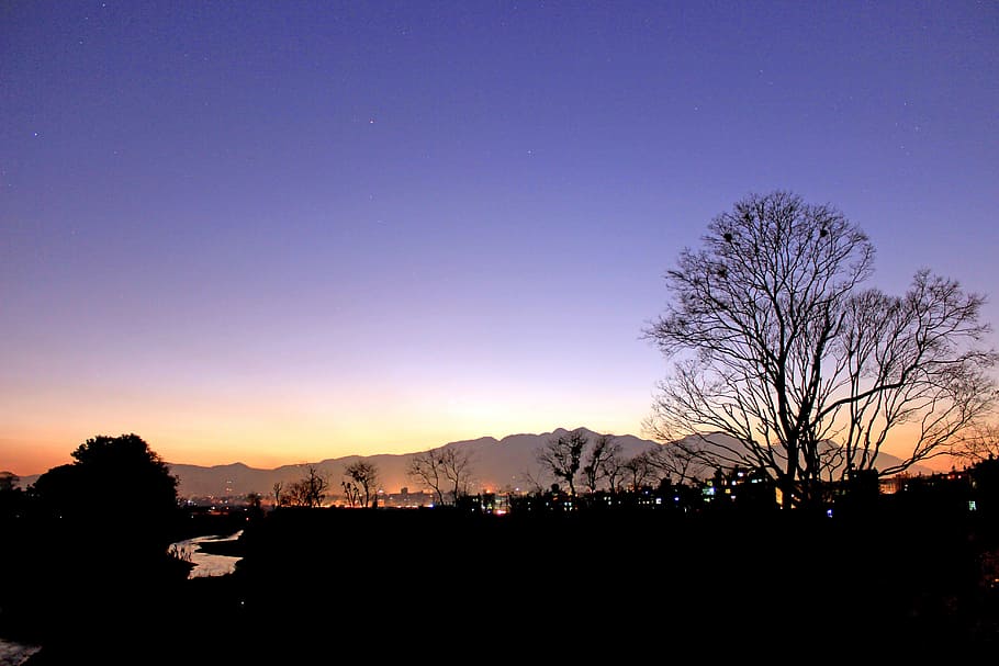Silhouette, Eve, Tree, Dusk, evening, dawn, environment-friendly HD wallpaper