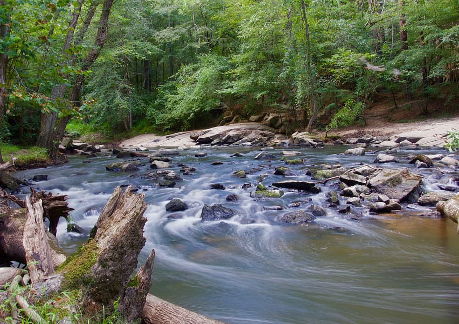 Stream in a Forest With Grey Rocks, creek, flow, landscape, moss HD wallpaper
