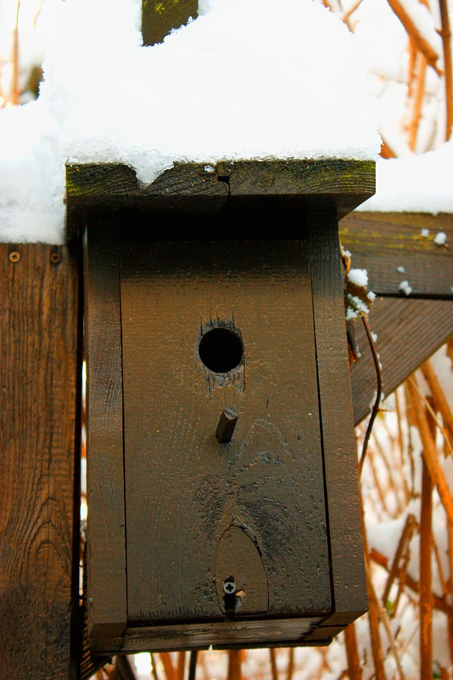 aviary, snow, winter, cold, bird, shelter, bird feeder, wintry HD wallpaper