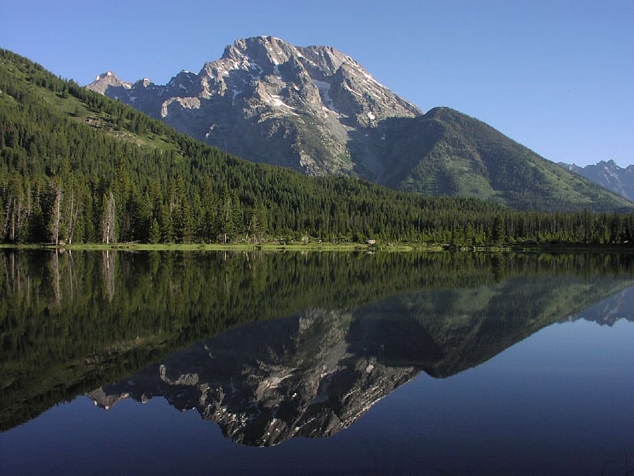 reflecting trees and mountain, string lake, reflection, mount moran HD wallpaper