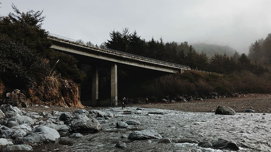 gray concrete bridge near trees at daytime, person standing under a bridge HD wallpaper