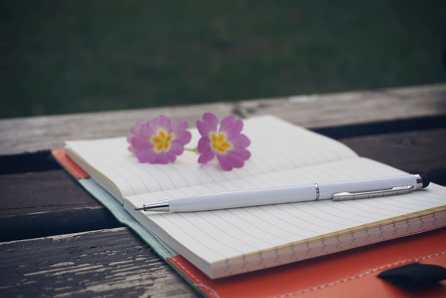 white twist pen on blue-lined yellow notebook, bench, flowers HD wallpaper