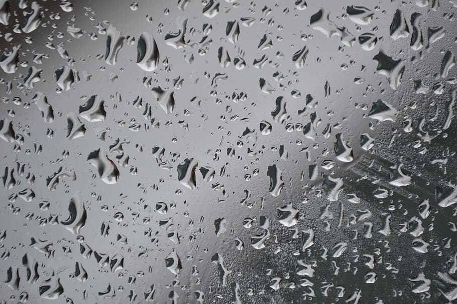 drops, water, detail, rain, texture, rainy, window, macro, wet, HD wallpaper
