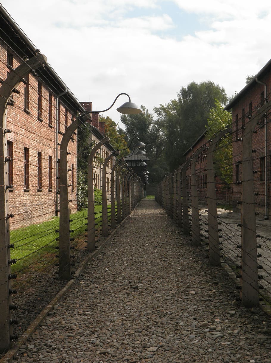 auschwitz, barbed wire, separation, architecture, building exterior HD wallpaper