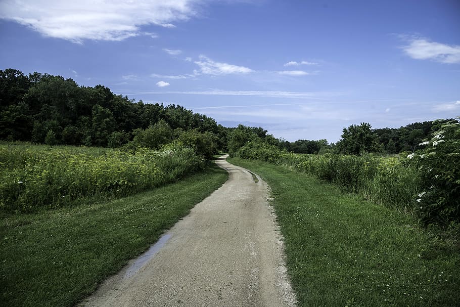 HD wallpaper Hiking Trail on a clear day at Camrock County Park