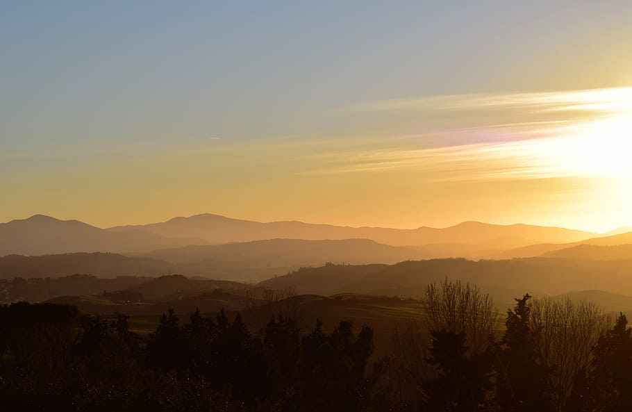 mountain during golden hour, tree silhouette during sunset, landscape HD wallpaper