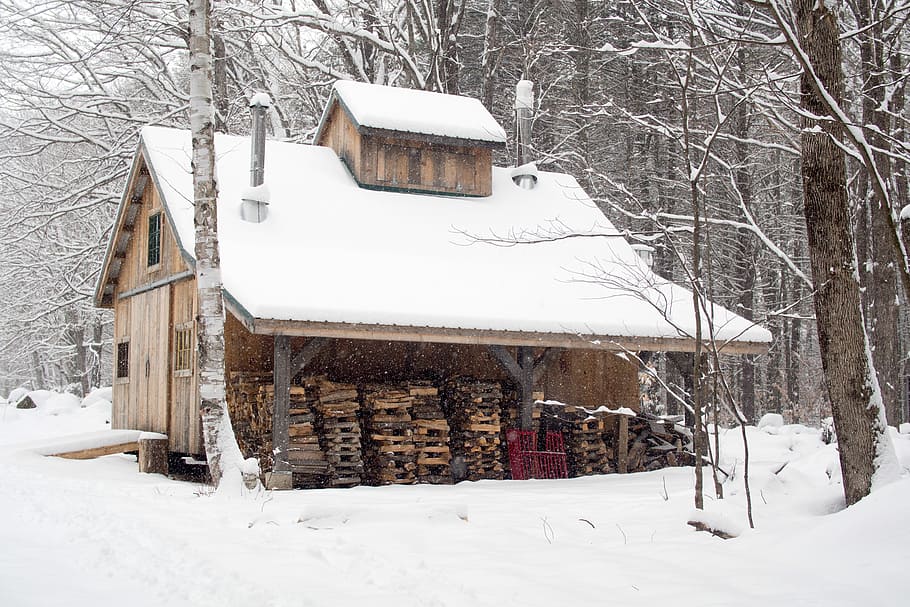 brown wooden house covered with snow surrounded by bare trees HD wallpaper
