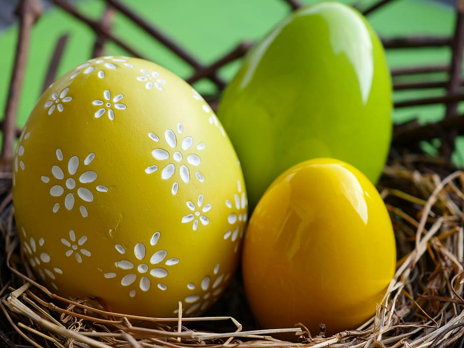 three assorted-color decorative eggs on nest, easter, easter eggs HD wallpaper