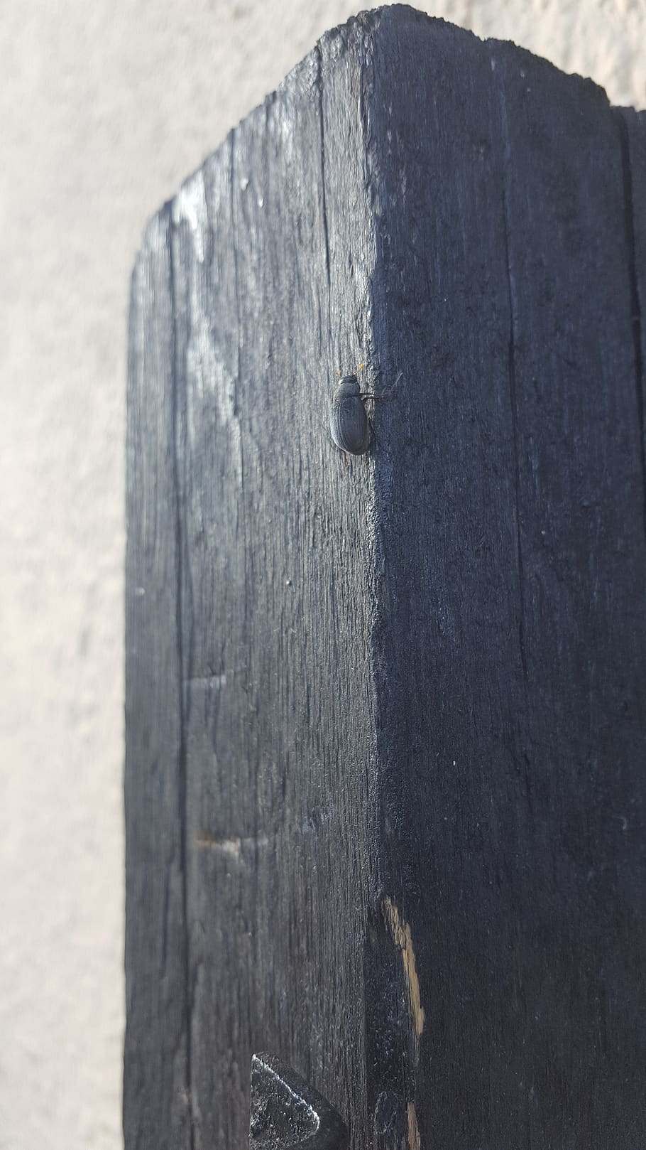 old, beetle, wood - material, close-up, nail, textured, no people HD wallpaper