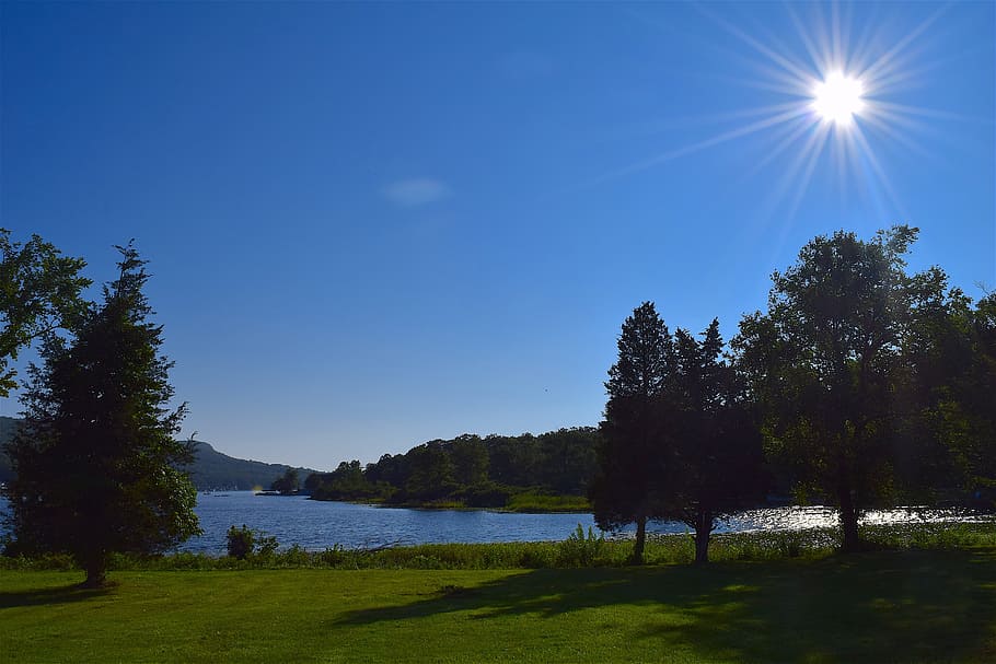 sun, sky, park, trees, grass, sunrise, landscape, nature, blue HD wallpaper