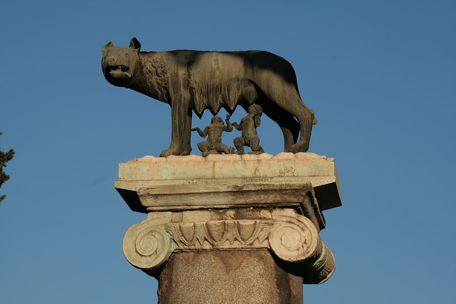 Rome, She-Wolf, Romulus, Remus, mythology, legend, historically, HD wallpaper