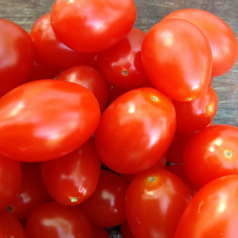 tomatoes, red, vegetables, food and drink, healthy eating, freshness HD wallpaper