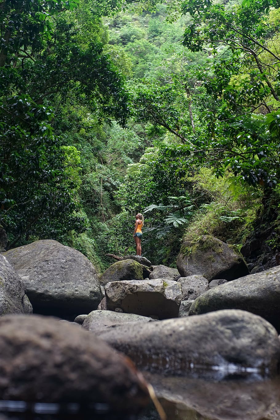 alone, green, hiker, hiking, nature, perspective, rocks, woman HD wallpaper