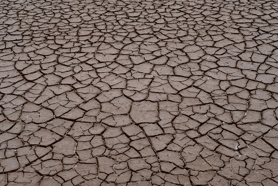 dried soil, gray dry land, earth, clay, fractal, weather, texture, HD wallpaper