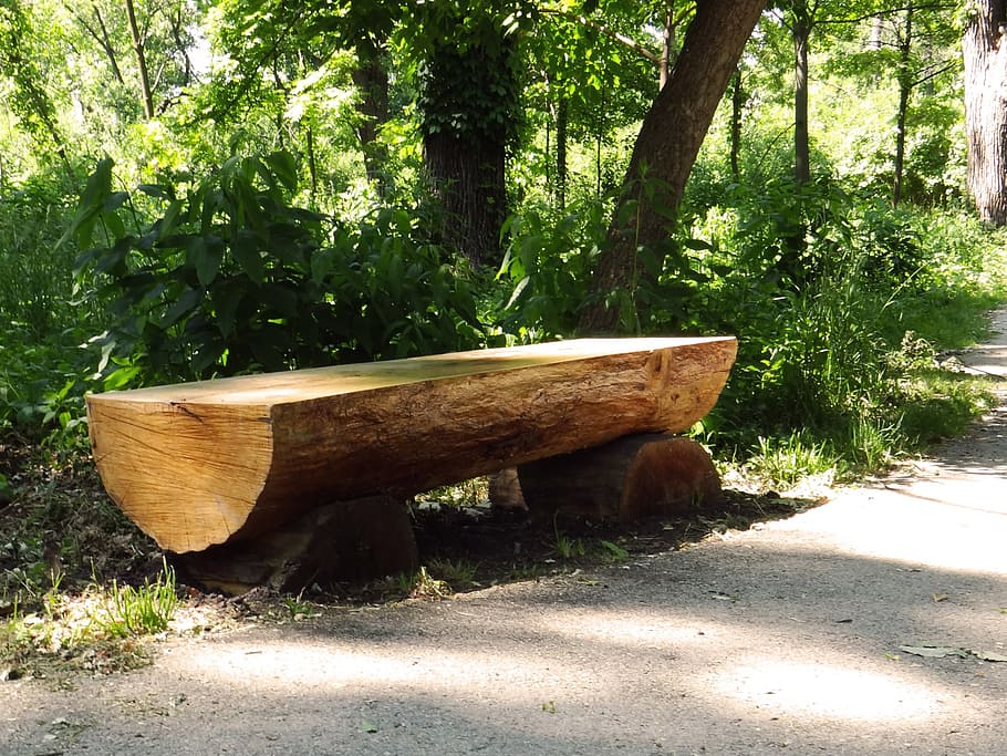 brown wooden log bench, rest, trail, nature, walk, outdoor, seat
