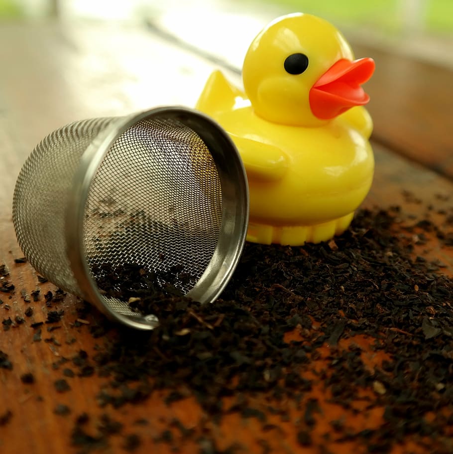 duck, tea infuser, tee, teatime, tea mix, drink, hot drink HD wallpaper