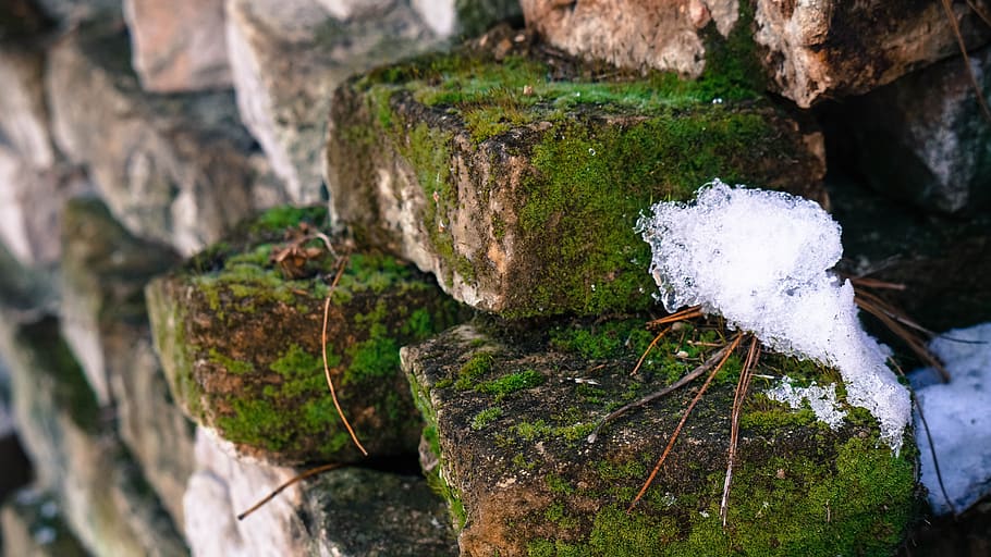 nature, outdoors, brick, rock, day, plant, no people, rock - object HD wallpaper