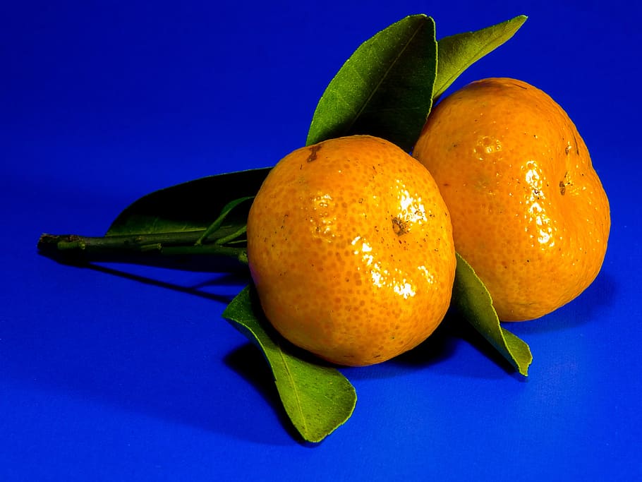orange, mandarin, citrus fruit, food and drink, healthy eating HD wallpaper
